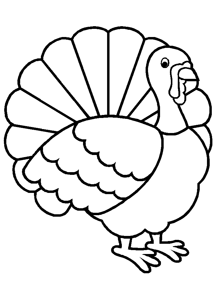 easy drawing of turkey clipart