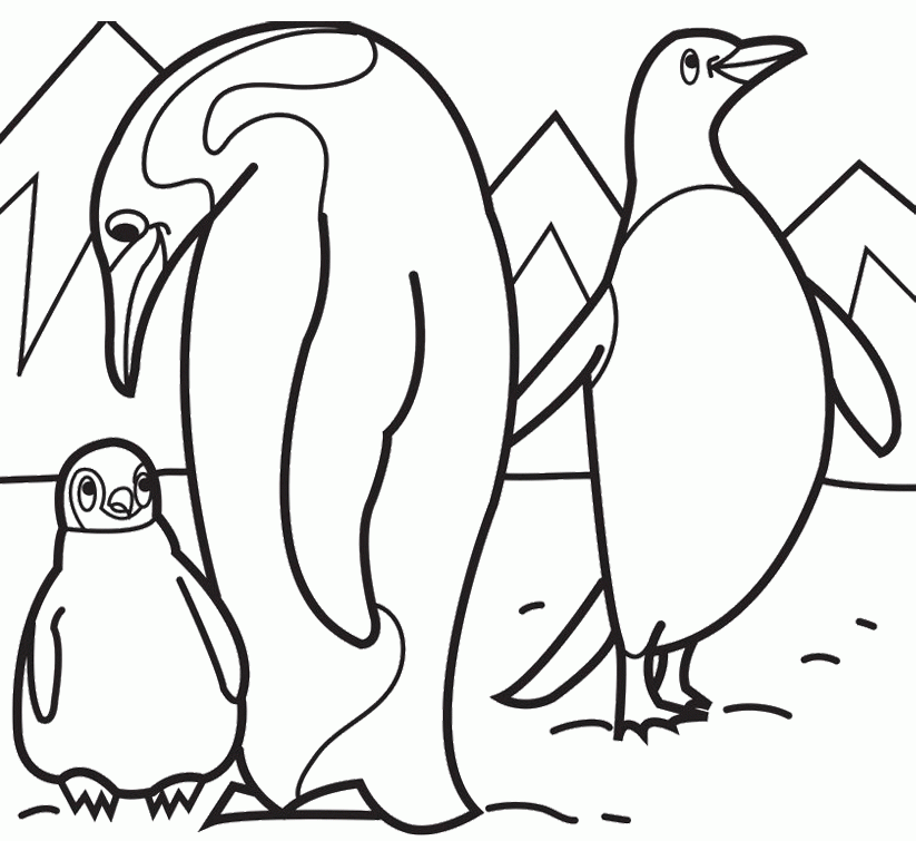 picures family penguin coloring pages - penguin coloring pages 