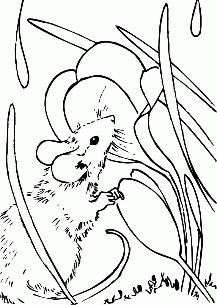 melody lea lamb&#39;s art: free mouse coloring page