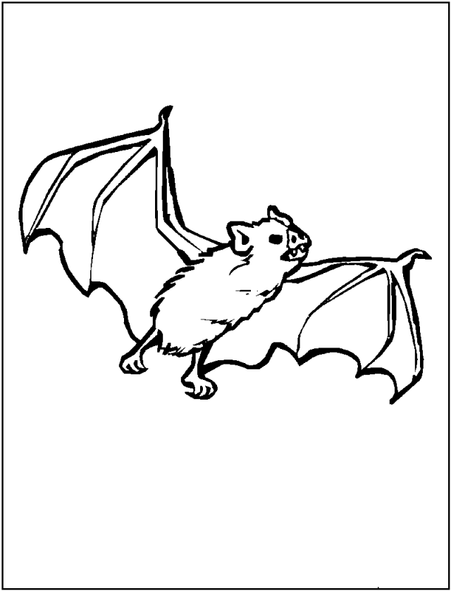 bat coloring pages printable coloring pages coloring pages for 