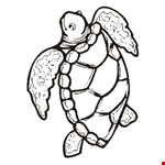 Sea Turtles Clipart Page