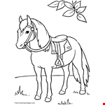 Horse Saddle Clipart Book