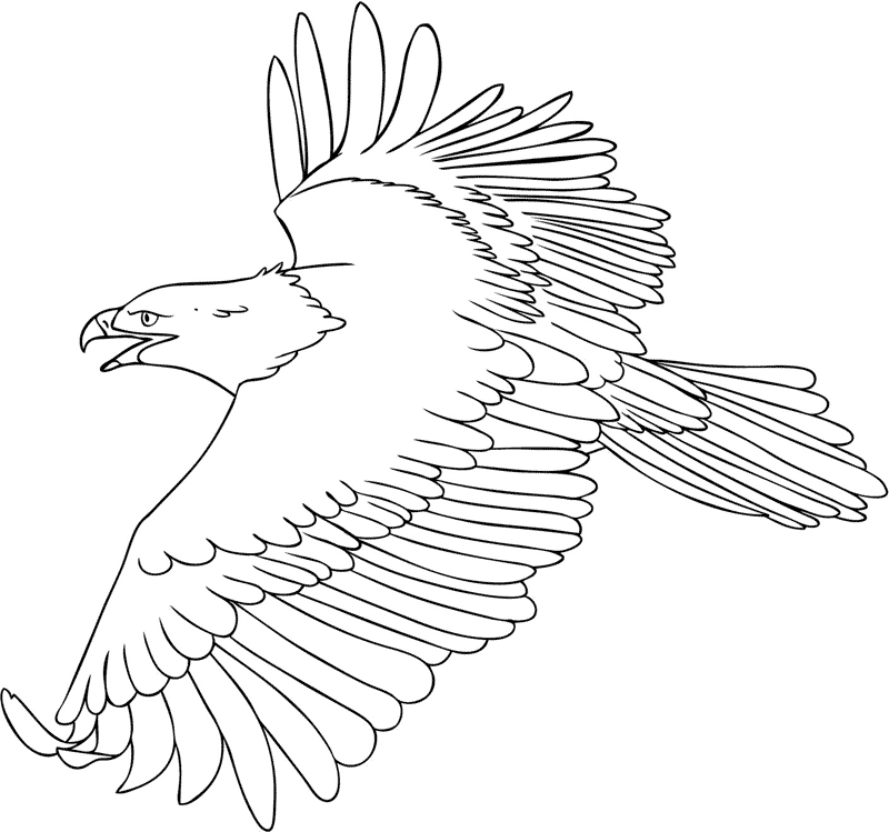 bald eagle coloring pages for kids (printable) | uniquecoloringpages