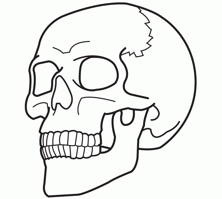 free printable skull coloring pages for kids 2014 | stickypictures