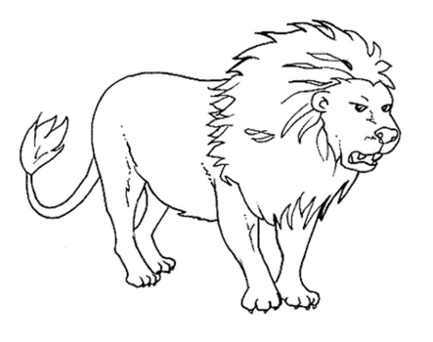 lion cartoon  line drawing