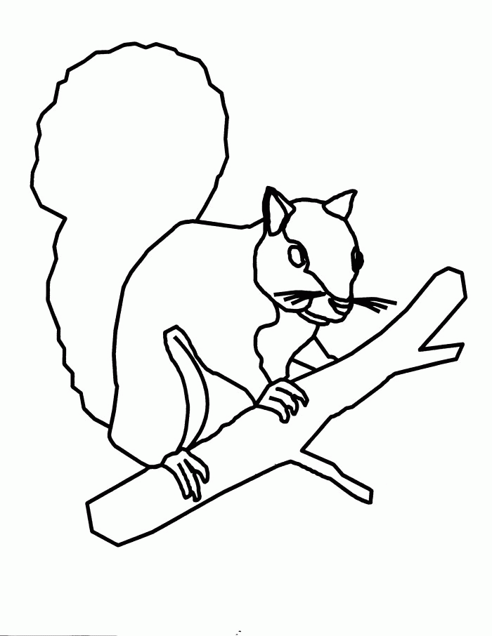 squirrel colouring sheet