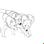 Wolf Printable Coloring Pages Free Coloring Pages For Kids   