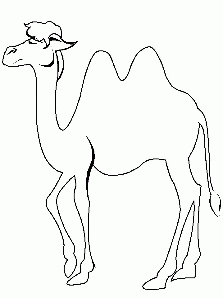 camels coloring pages - free printable coloring pages | free 