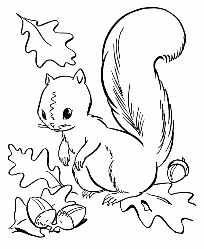 fall coloring pages squirrel collecting acorns page sheets 
