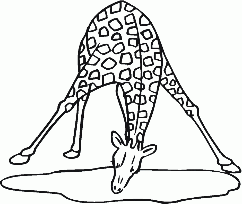 baby giraffe coloring pages cute giraffe coloring pages cute baby 