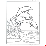 Dolphin | Summer Coloring Pages 