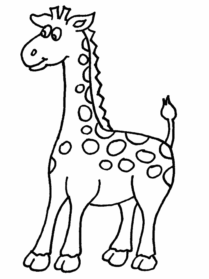 giraffe cartoon clipart