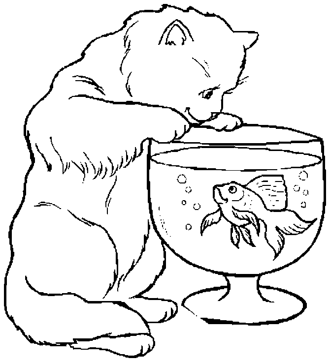 cat and fish coloring sheet