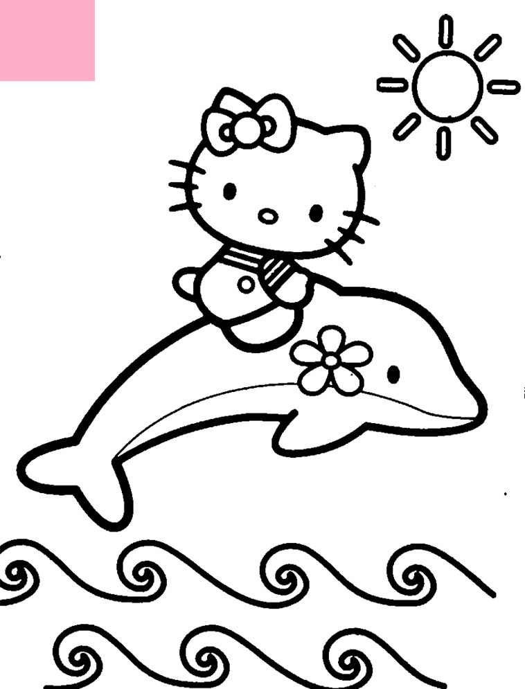 dolphin coloring pages: time to learn mammal