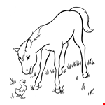 White Horses Coloring Book