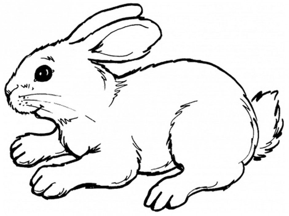 print or download peter rabbit free printable coloring pages no 25 