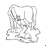 Horse Foal Coloring Page