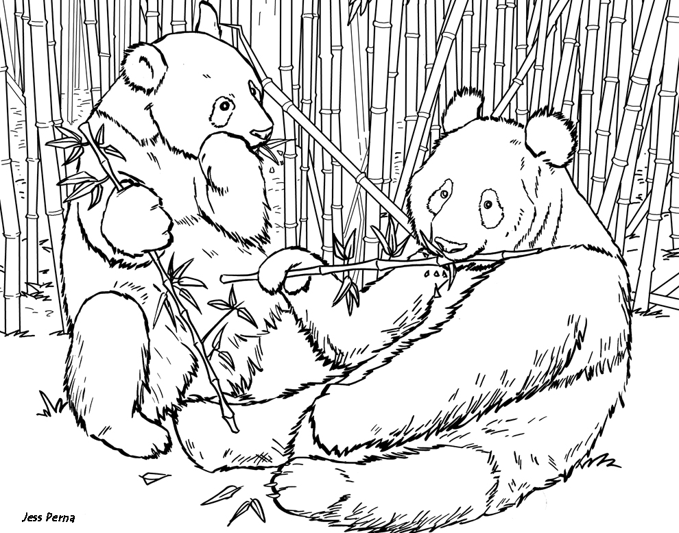 panda bear coloring pages | coloring pages