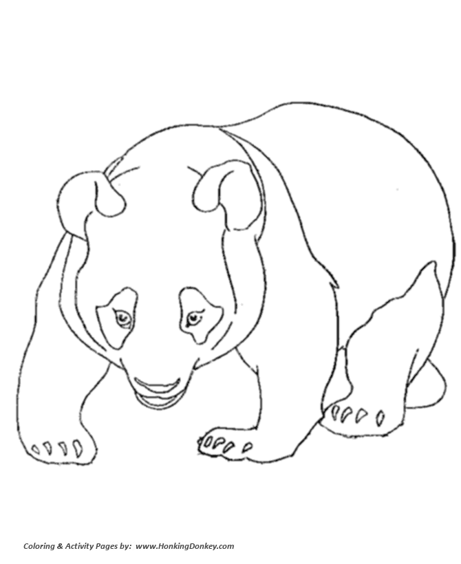 bear color clipart