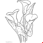 Lily Flower Coloring Sheet