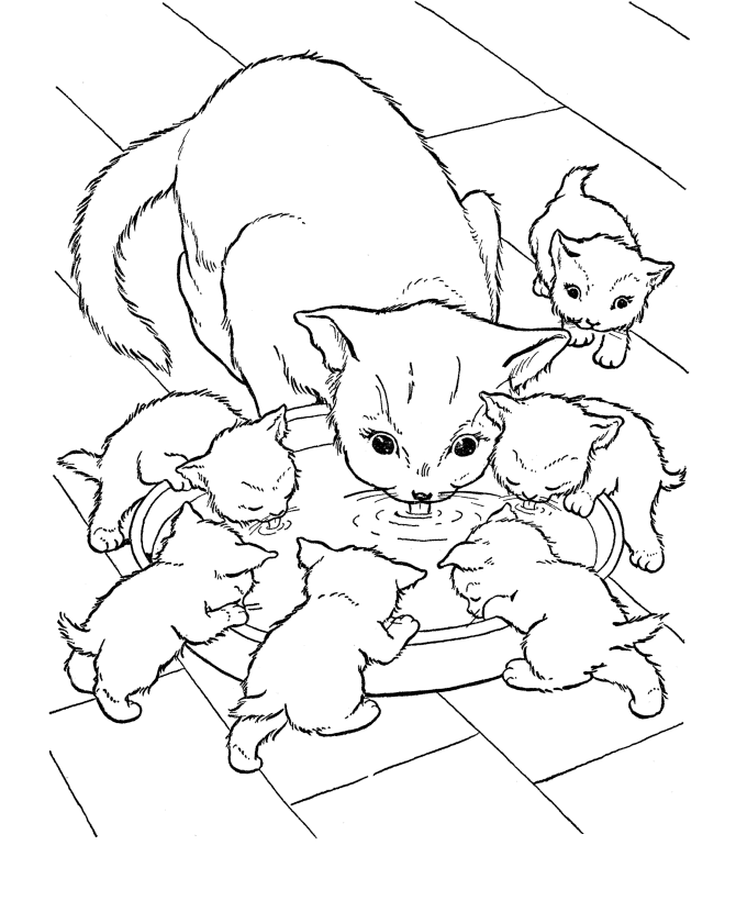 cat family clipart drawing