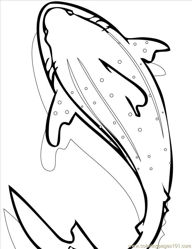 coloring pages whale shark ink (fish &gt; shark) - free printable 
