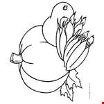 Free Thanksgiving Pumpkin Coloring Pictures  