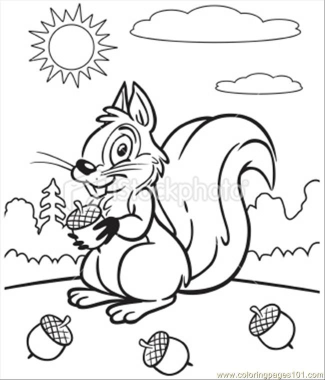 coloring pages coloring book of squirrel (mammals &gt; squirrel 