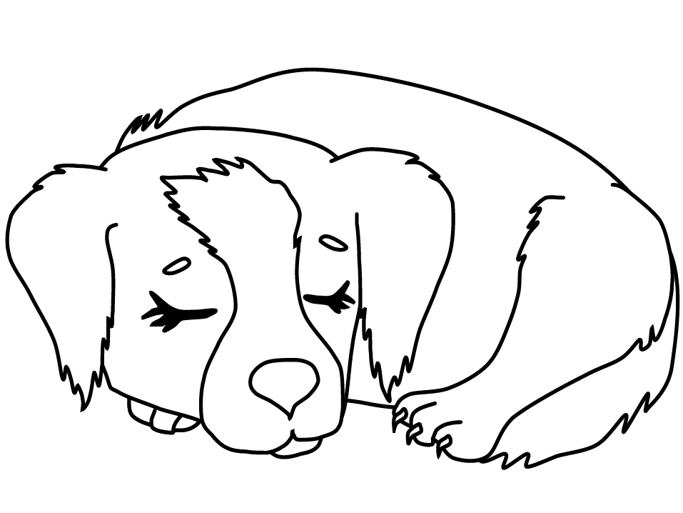 cute dog drawing sheet