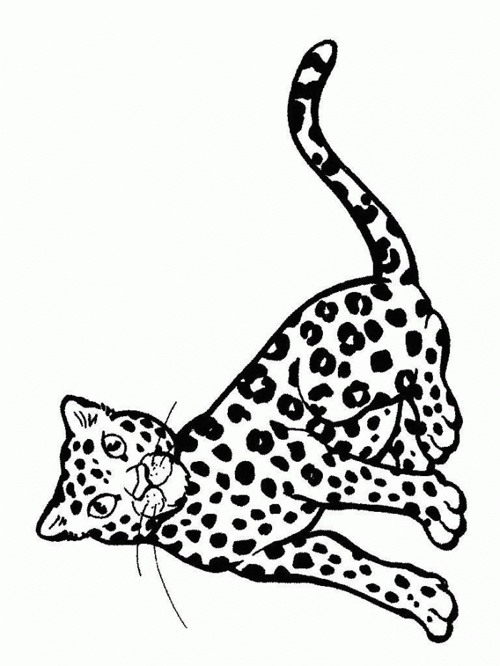 baby cheetah coloring pages | 99coloring.