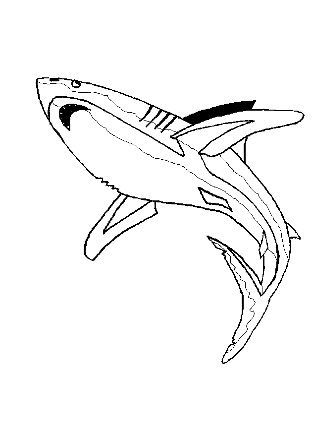 sharks - 999 coloring pages
