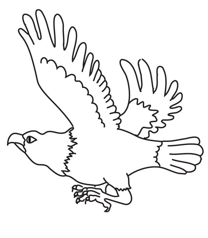 eagle coloring sheet