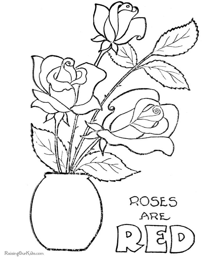 rose flower clourings