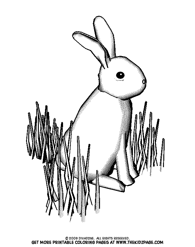 bunny in the grass free coloring pages for kids - printable 