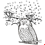 Owl Cartoon Drawing Page