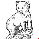 Bear Cub Colorings