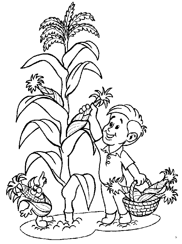 vegetable-coloring-pages-4 | free coloring page site