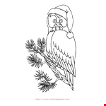 Christmas Owl Printable Coloring In Pages For Kids  Number   