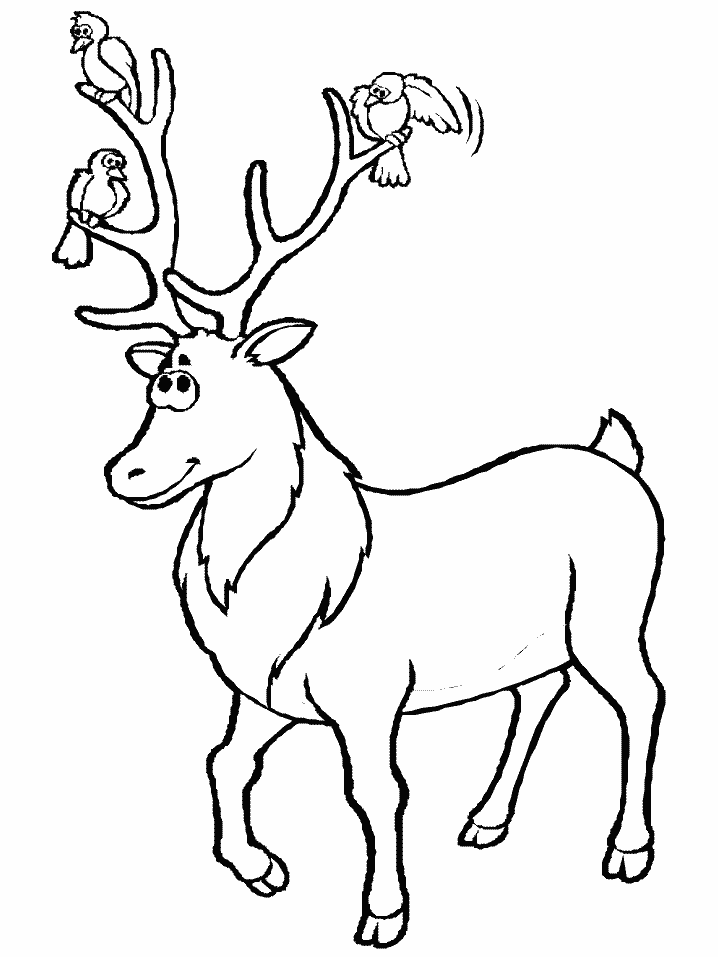 cow coloring page face