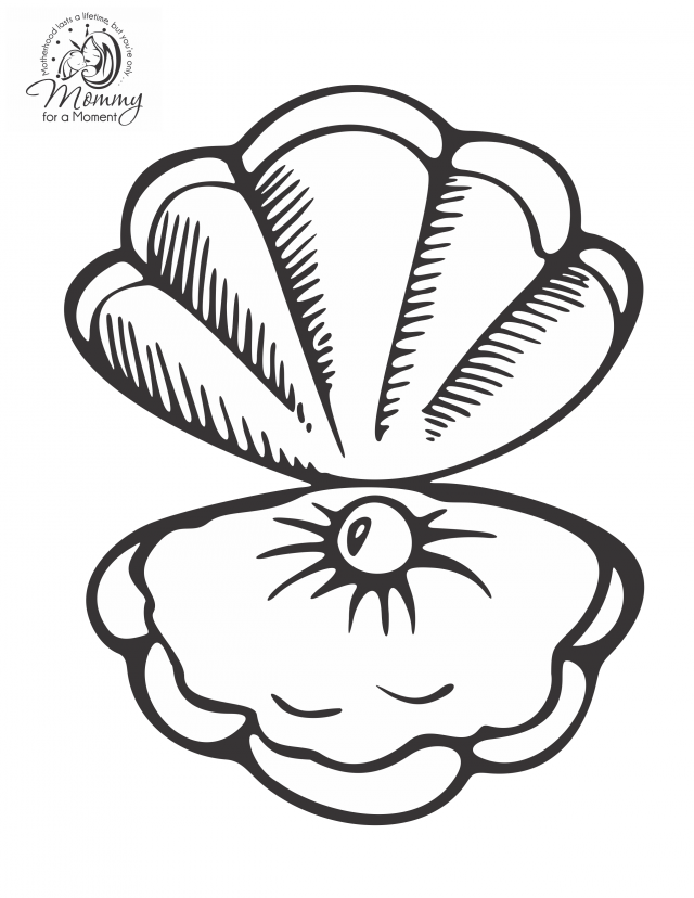 shell coloring page 198788 sea shell coloring pages