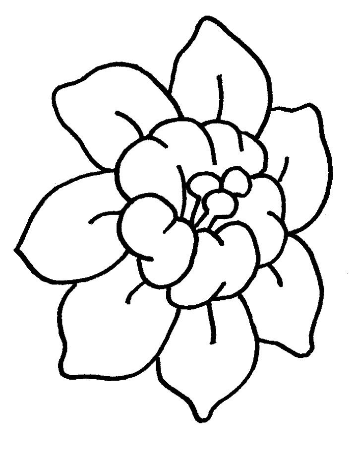 one direction printing coloring pages | coloring picture hd for 