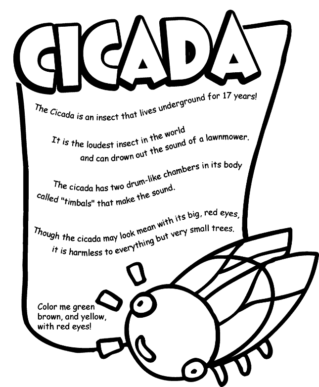 cicada coloring page | bugs - fantastic 5&#39;s