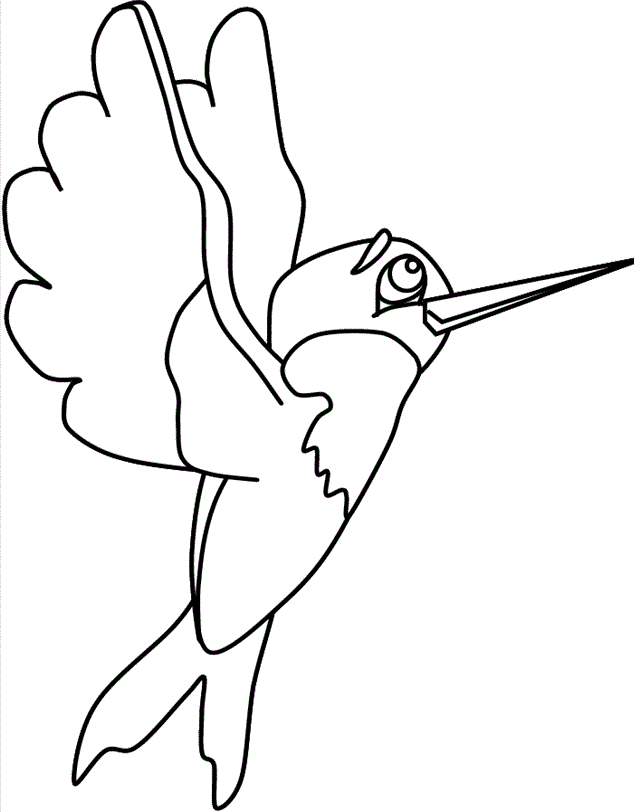 birds swallow coloring pages - bird coloring pages : coloring 