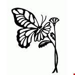 Butterfly Drawing Outline | Butterfly With Flower