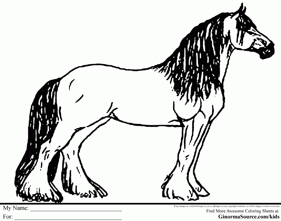 breyer coloring pages free coloring pages 185207 horse head 