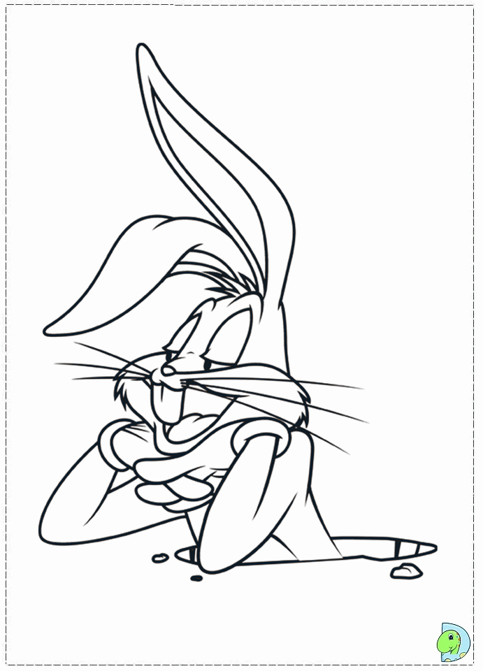 maine state bird coloring sheets