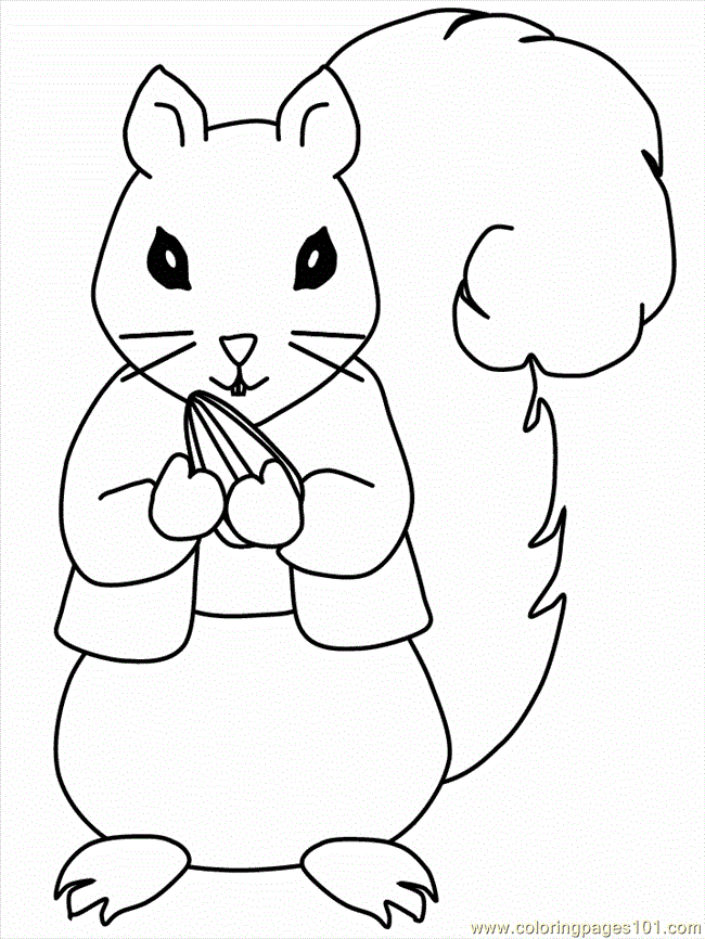 coloring pages squirrel coloring 11 (mammals &gt; squirrel) - free 