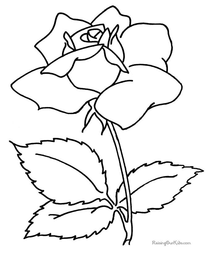 flower pattern drawing page