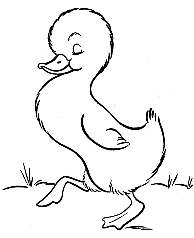 duck drawing 