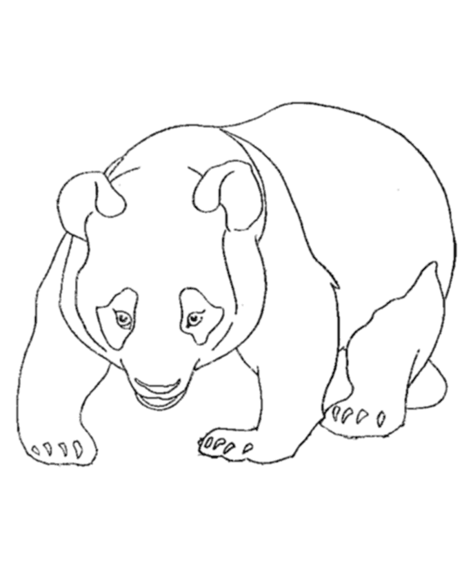 free panda coloring pages | coloring pages